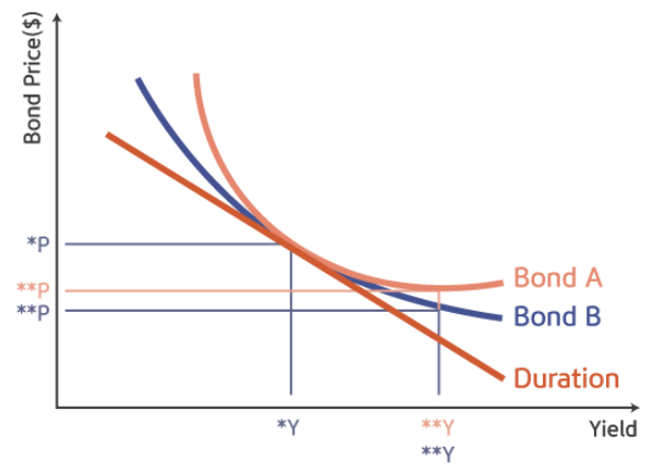 그림와 채권의 관계, 그리고 Duration의 개념 도식